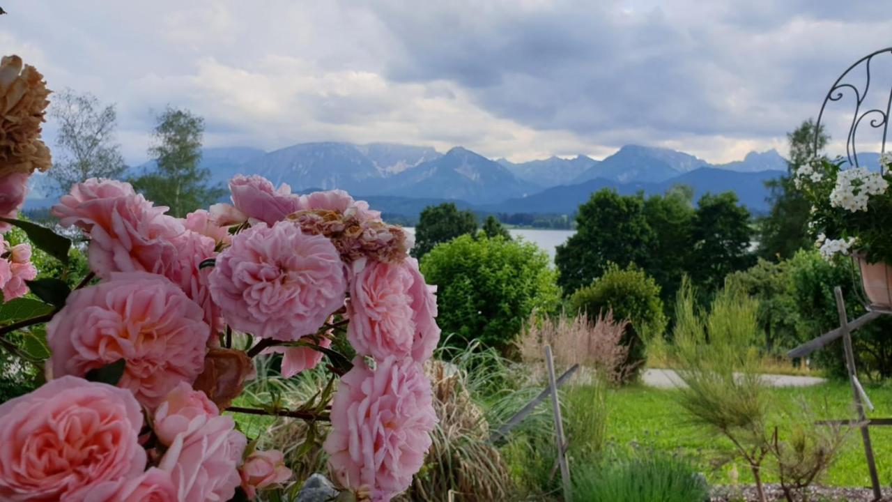 Landhaus Amberg Hopfen Am See // Hopfensee // Fuessen Экстерьер фото